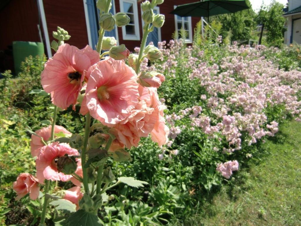 Vandrarhemmet Tallbacka/Aengelsberg Hostel Angelsberg Экстерьер фото
